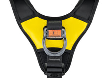 Astro BOD FAST (International Version) - Size 2 Standard