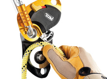 Pro Traxion Progress Capture Pulley (end of series)